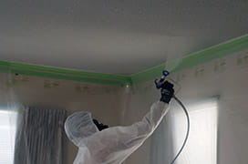 Ceiling Restoration